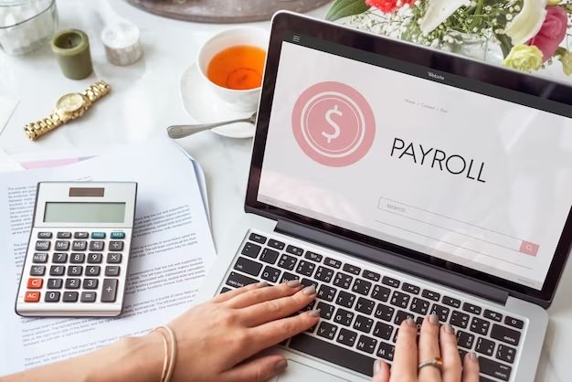 The Cosmic Cost of Payroll Services: Understanding the Price of Accuracy