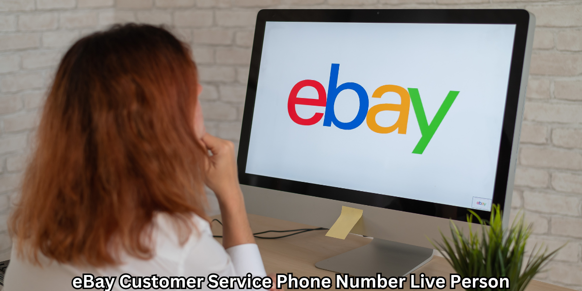 eBay Customer Service Phone Number Live Person